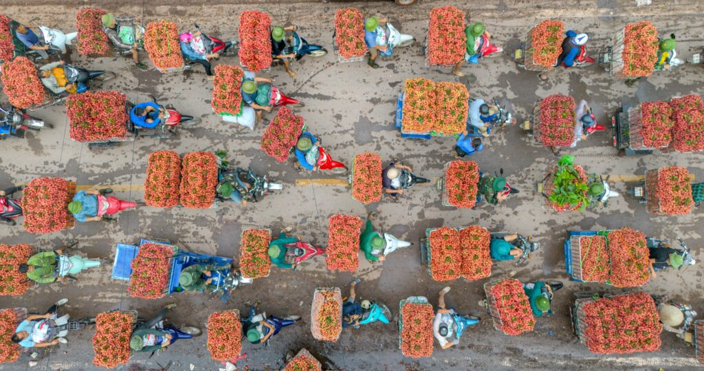 Aerial shot of vibrant lychee market in Bac Giang, Vietnam. Vespa scooters carrying lychee baskets.